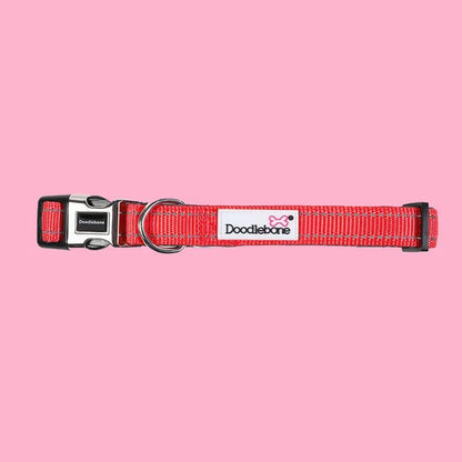 Padded Dog Collar