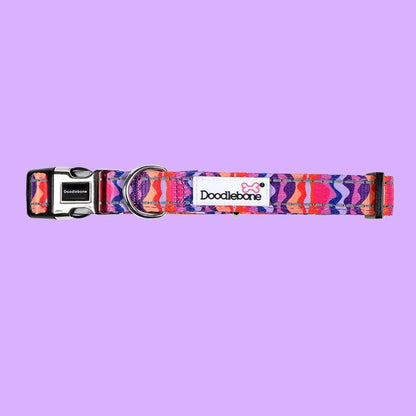 Padded Dog Collar