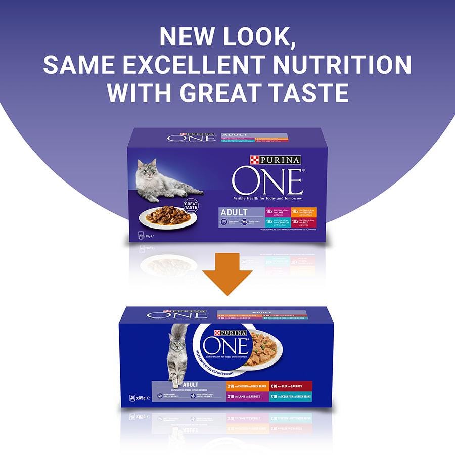 Purina ONE Adult Mini Fillets Wet Cat Food Gravy 40x85g