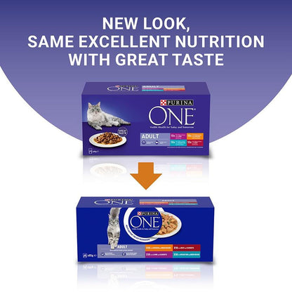 Purina ONE Adult Mini Fillets Wet Cat Food Gravy 40x85g