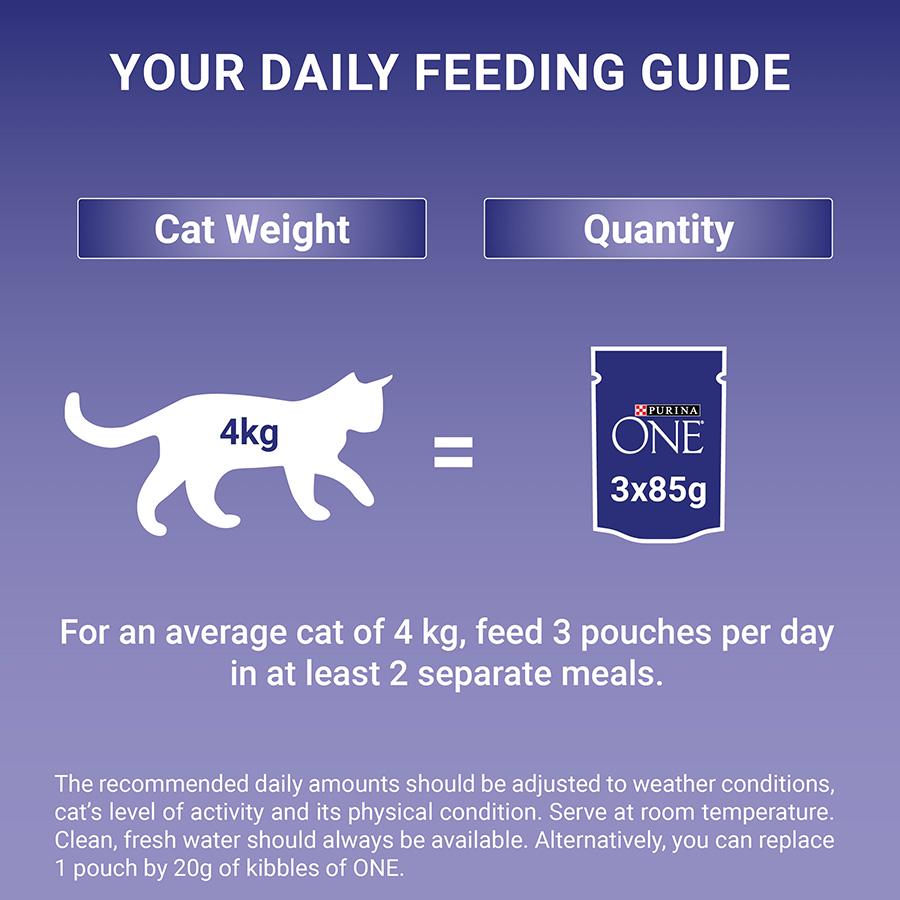 Purina ONE Adult Mini Fillets Wet Cat Food Gravy 40x85g