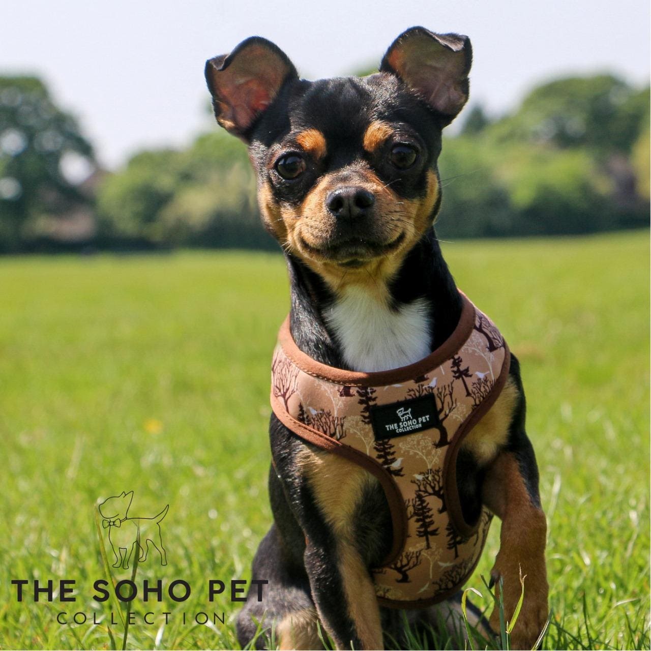 Maple Leaf & Woodland Pattern Reversible Dog Harness