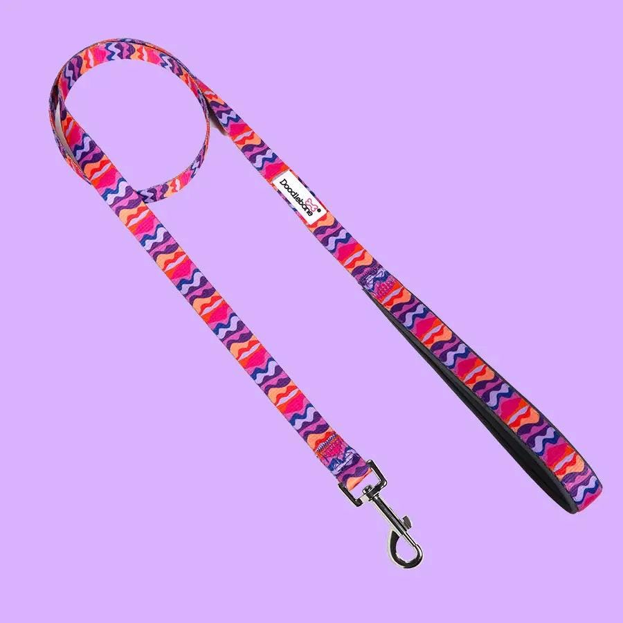 Strong & Comfy Dog Leash – Padded Grip