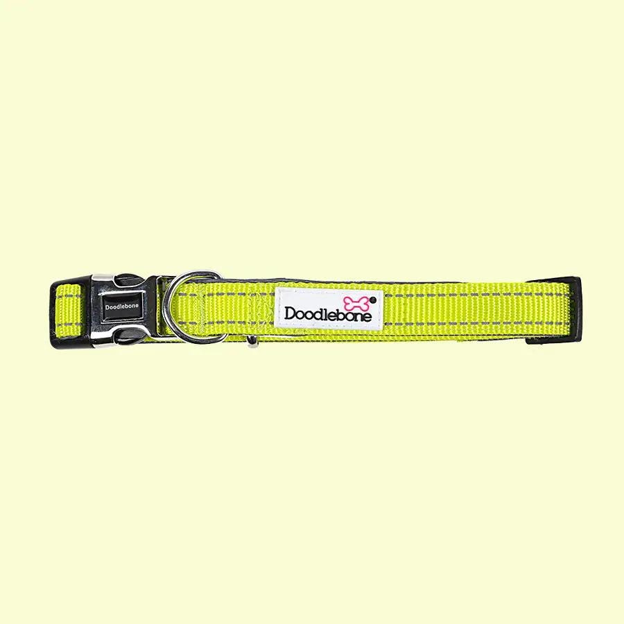 Padded Dog Collar