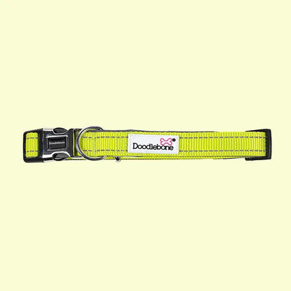 Padded Dog Collar