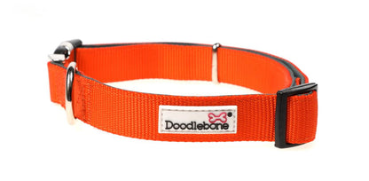 Padded Dog Collar