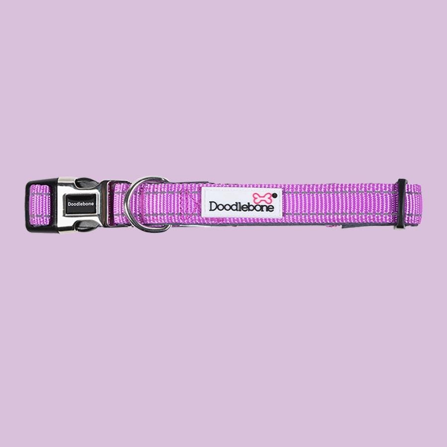 Padded Dog Collar