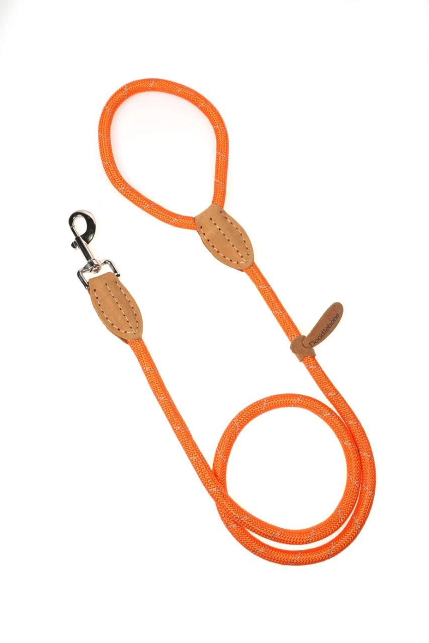 Dog Rope Lead