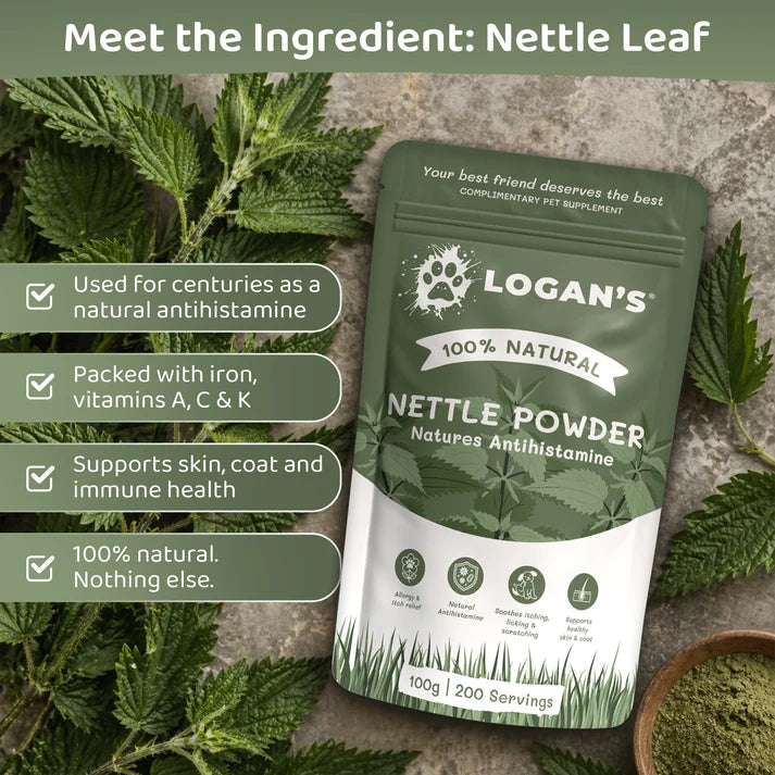 Nettle Powder for Dogs & Cats