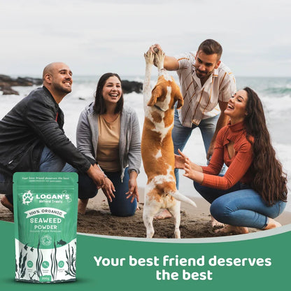 Organic Seaweed Powder for Dogs & Cats