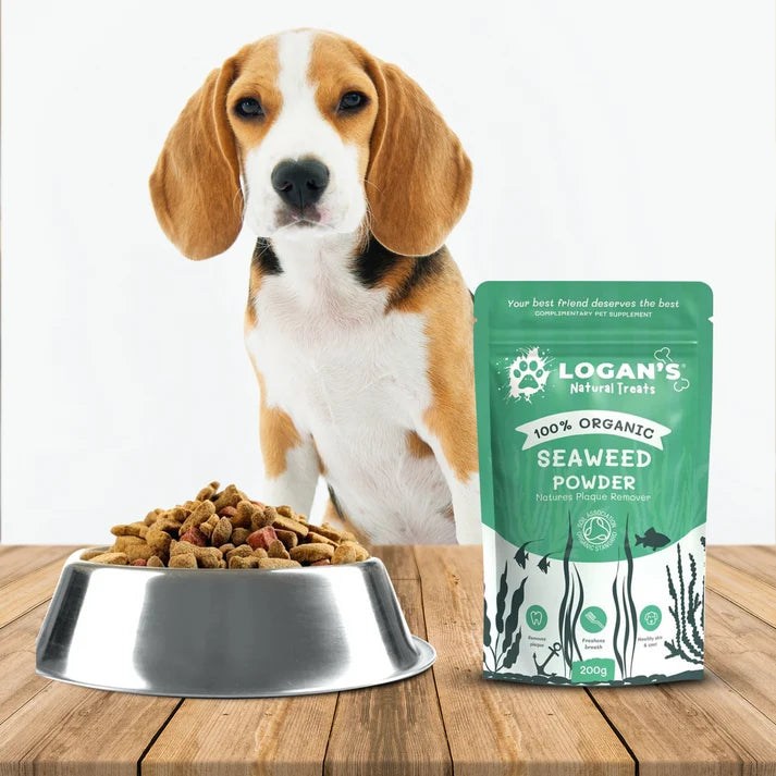 Organic Seaweed Powder for Dogs & Cats