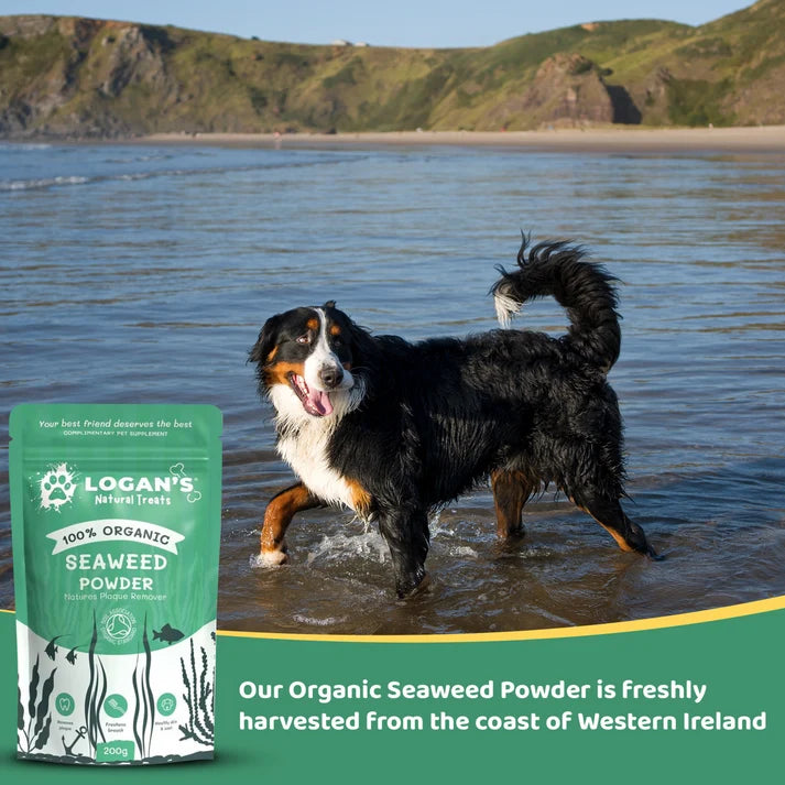 Organic Seaweed Powder for Dogs & Cats