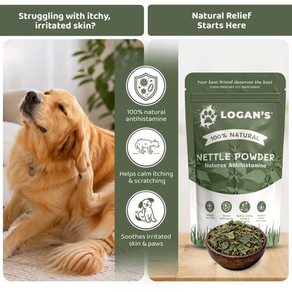 Nettle Powder for Dogs & Cats