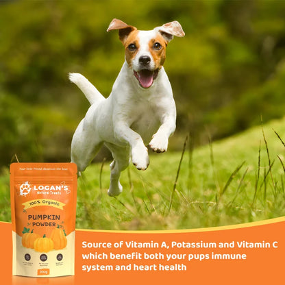 Pumpkin Powder for Dogs & Cats