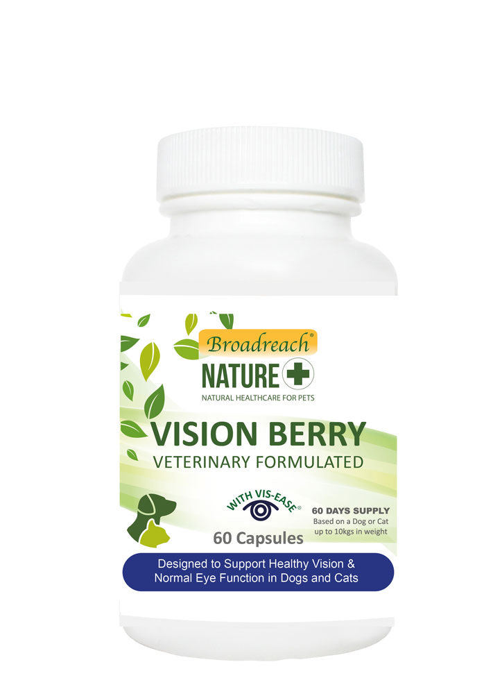 Vision Berry for Dogs and Cats, Puppies and Kittens – 30 and 60 capsules