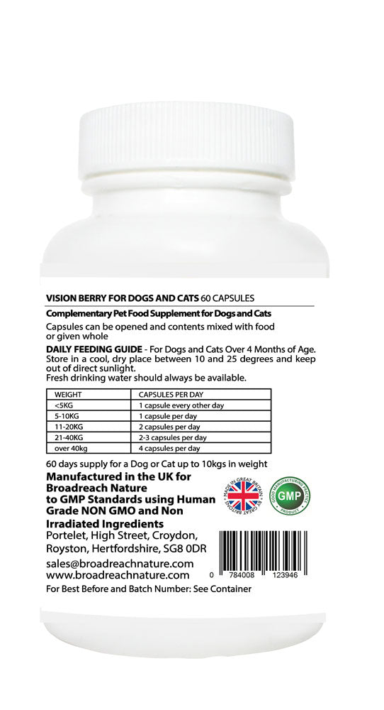 Vision Berry for Dogs and Cats, Puppies and Kittens – 30 and 60 capsules