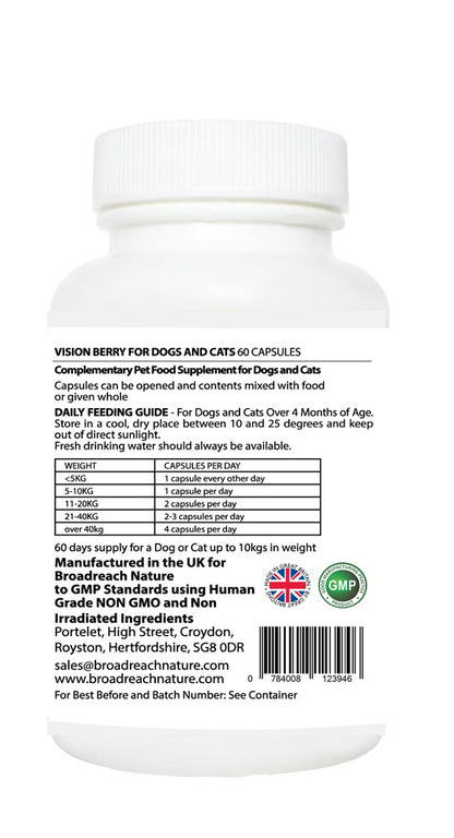 Vision Berry for Dogs and Cats, Puppies and Kittens – 30 and 60 capsules